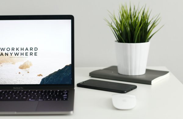 MacBook Pro near green potted plant on table